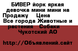 БИВЕР йорк яркая девочка мини мини на Продажу! › Цена ­ 45 000 - Все города Животные и растения » Собаки   . Чукотский АО